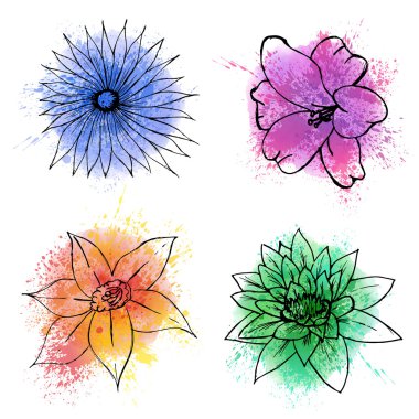 Elle çizilmiş çiçek suluboya noktalar ve su sıçramalarına kümesi