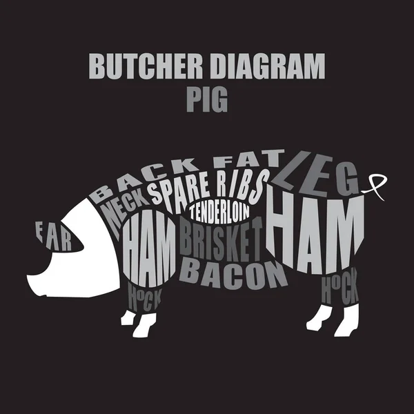 Butcher diagram of pork. Pig cuts — Stock Vector
