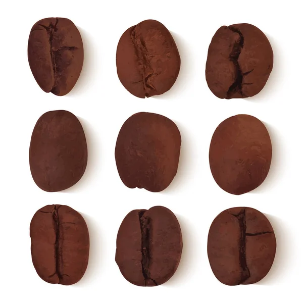 Sada devíti realistické hnědá kávová zrna s transparentní stín — Stockový vektor