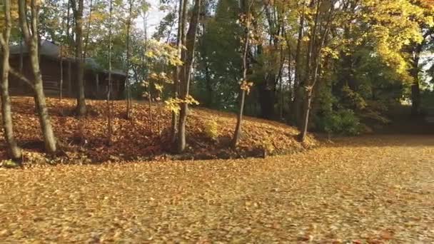Lagoa de outono repleta de folhas amarelas — Vídeo de Stock