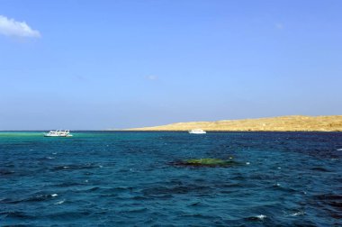 Al-Mahmya Adası, Mısır - 17 Ekim 2013: Al-Mahmya olan Cennet plaj ve Mısır'ın büyük turistik bir Ulusal Park.
