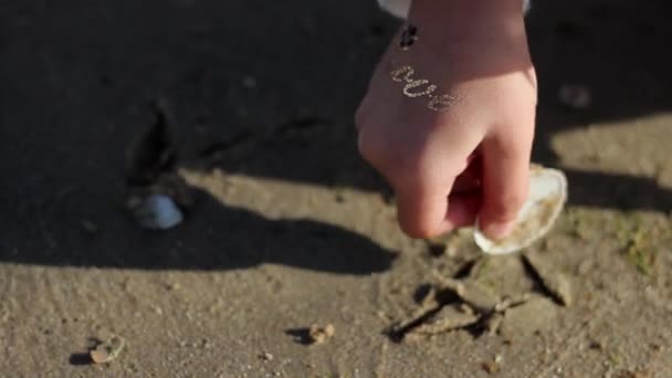 Dziecko bawi się w piasku muszla — Wideo stockowe