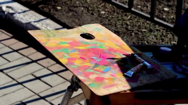 L'artiste ramasse la peinture et dessine sur la nature Printemps Soleil — Video