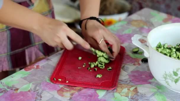 Chica corte pepino en ensalada — Vídeos de Stock