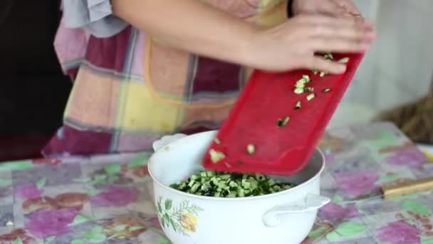 Ucraniana chica ama de casa es cortar pepinos en ensalada en delantal y poner en un tazón — Vídeo de stock