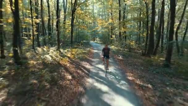 Passeios de ciclista através da floresta de outono. Vídeo 4k (Uhd) — Vídeo de Stock