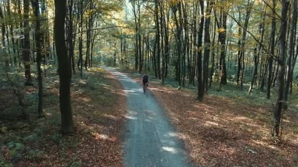 Cycliste parcourt la forêt d'automne. Vidéo 4k (Uhd) — Video