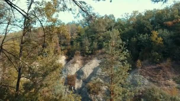 สาขาของต้นไม้และเทือกเขา 4k วิดีโอ — วีดีโอสต็อก