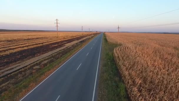 Motorrijder gaat de weg van het veld. 4k Video — Stockvideo