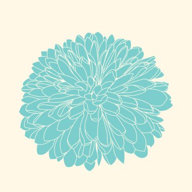 Vektör handdrawn ışık yeşil krizantem.