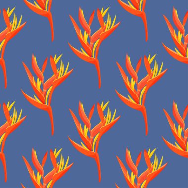 Tropikal portakal bitkileri. Heliconia ve strelizia çiçek vektör çizimi.