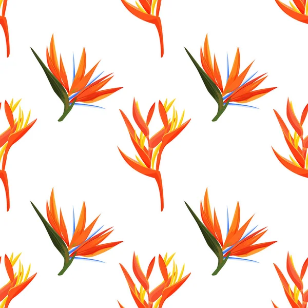 Tropical orange plants background. Heliconia and strelizia flowers vector illustration.