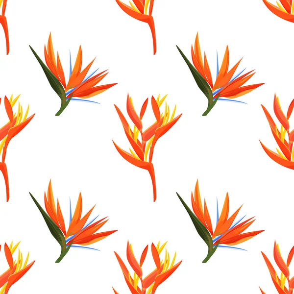 Tropical orange plants background. Heliconia and strelizia flowers vector illustration.