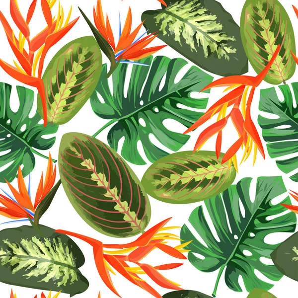 Fundo Plantas Laranja Tropical Helicônia Strelizia Flores Vetor Ilustração — Vetor de Stock