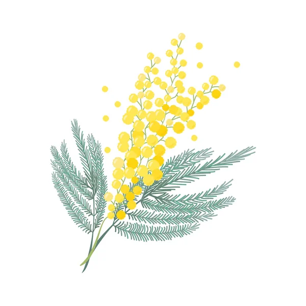 Signe Jour Des Femmes Illustration Vectorielle Réaliste Tendre Branche Fleur — Image vectorielle