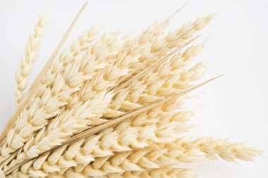 Yulaf ezmesi parlak arka planda izole edilmiş. Bir grup kulak..