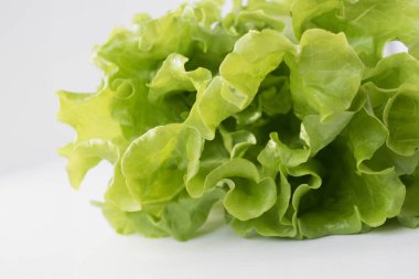 Gri arka planda bir marul. Yemekleri yakın plan çek..