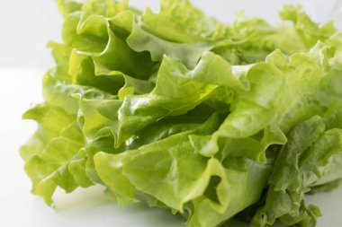 Gri arka planda bir marul. Yemekleri yakın plan çek..