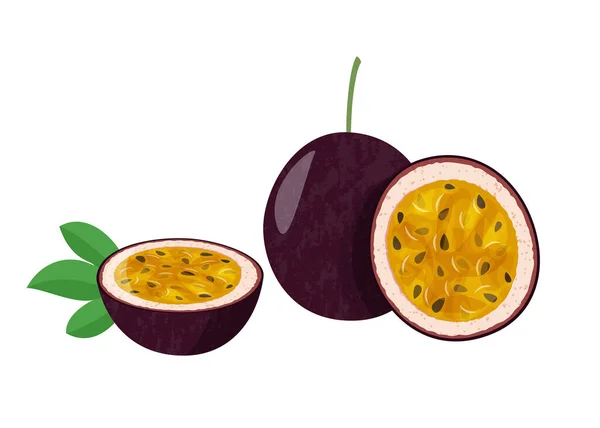 Maracujá inteiro com fatia isolada sobre fundo branco. Ilustração do vetor de frutas frescas . — Vetor de Stock
