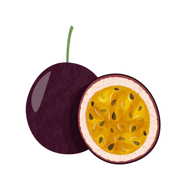 전체적 인 열정의 열매들 과하얀 배경에 조각들이 있습니다. 신선 한 과일 벡터 삽화. — 스톡 벡터