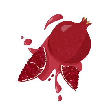 Meyve nar ve sulu suların vektör çizimi. Beyaz arkaplanda elle çizilmiş nar.