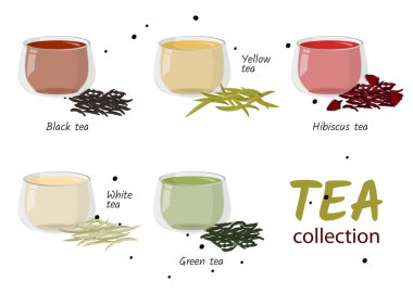 Cam bardakta çay. Sıcak içecek koleksiyonu. Vektör illüstrasyonu.