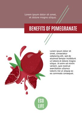 Makale için vektör tasarım şablonu ya da sulu serpiştirilmiş meyve nar web afişi. Beyaz arkaplanda elle çizilmiş nar.