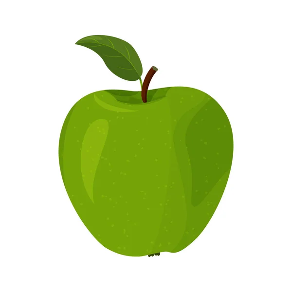 Φρέσκα Φρούτα Απομονωμένα Λευκό Φόντο Εικονογράφηση Διάνυσμα Του Λεπτομερούς Μεγάλο — Διανυσματικό Αρχείο