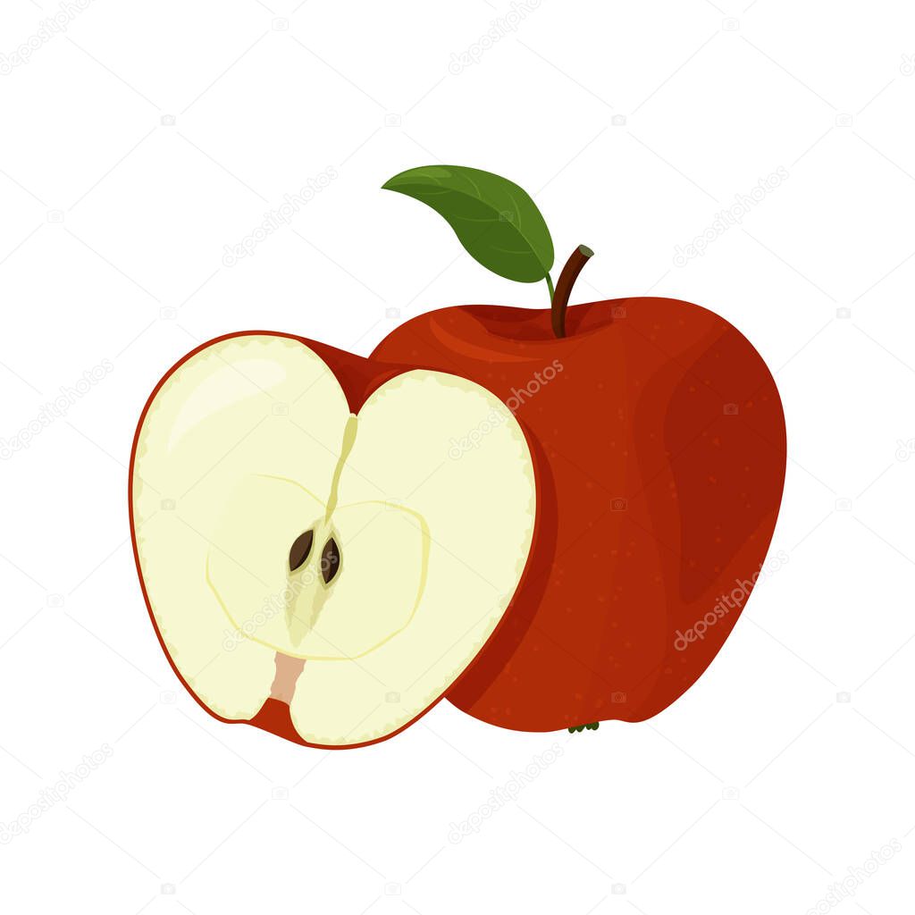 Fresh fruit isolated on white background. Vector illustration of detailed big shiny red apple.