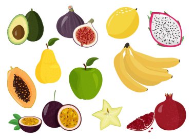 Bir dizi tatlı meyve. Limon, incir, avokado, papaya, ejderha meyvesi, nar, tutku meyvesi, muz yıldızı meyvesi, armut ve elma. Taze meyve vektör koleksiyonu