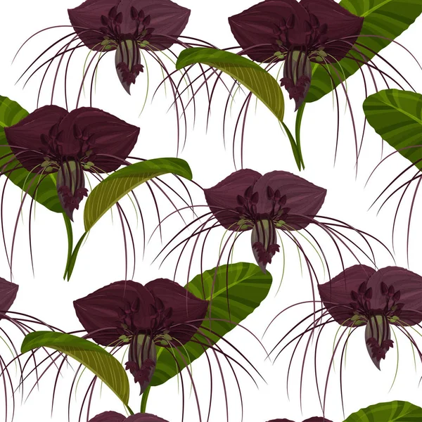 Plante Exotique Tropicale Motif Sans Couture Fond Fleurs Tacca Violet — Image vectorielle