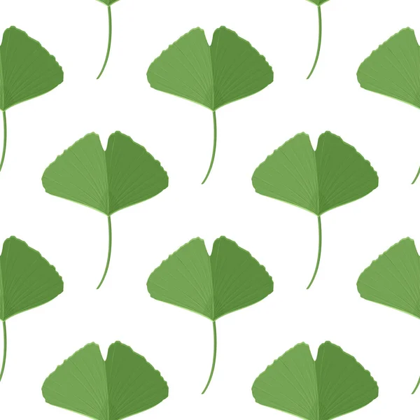 Fundo Simples Natural Padrão Sem Costura Com Folhas Ginkgo Verde —  Vetores de Stock