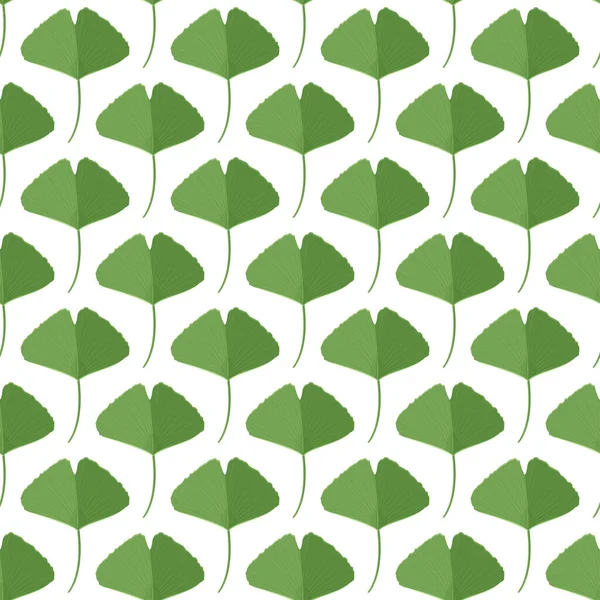 Естественный Простой Фон Бесшовный Узор Зелеными Листьями Гинкго — стоковый вектор