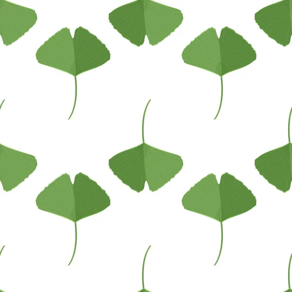 Fundo Simples Natural Padrão Sem Costura Com Folhas Ginkgo Verde —  Vetores de Stock