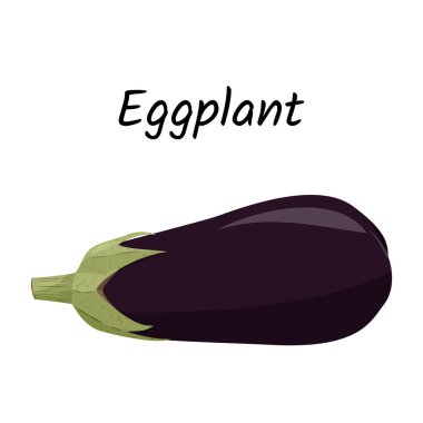 Beyaz arkaplanda vektör çizimi izole edildi. Patlıcan, gerçekçi bir görüntü..