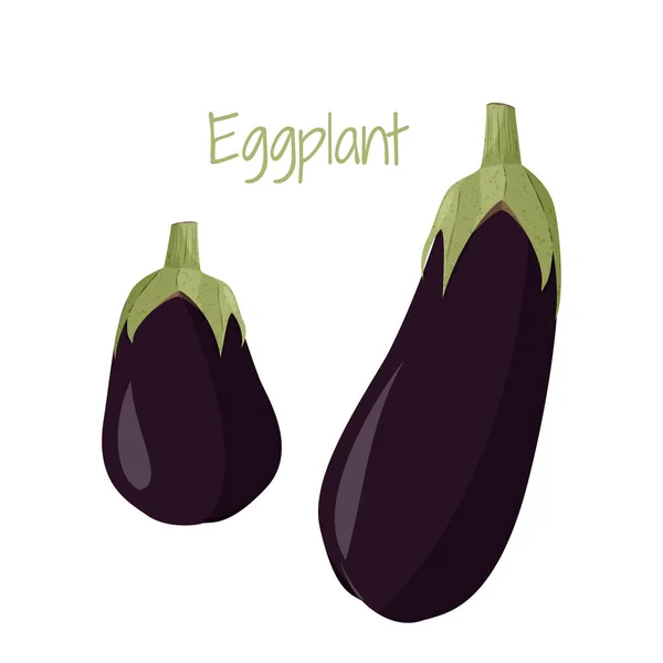 Eggplant whole realistic image. Vector illustration isolated on white background. — Stock Vector