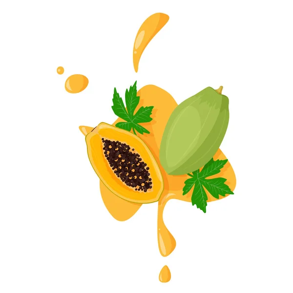 Ilustración Vectorial Papaya Fruta Tropical Brillante Con Semillas Hojas Verdes — Archivo Imágenes Vectoriales