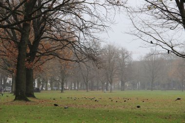 Şehir Parkı geç sonbahar görünümü 
