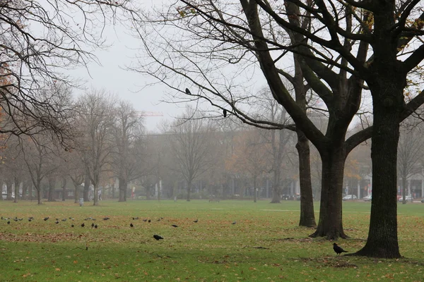 Şehir Parkı geç sonbahar görünümü 