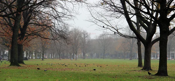 Şehir Parkı geç sonbahar panorama 