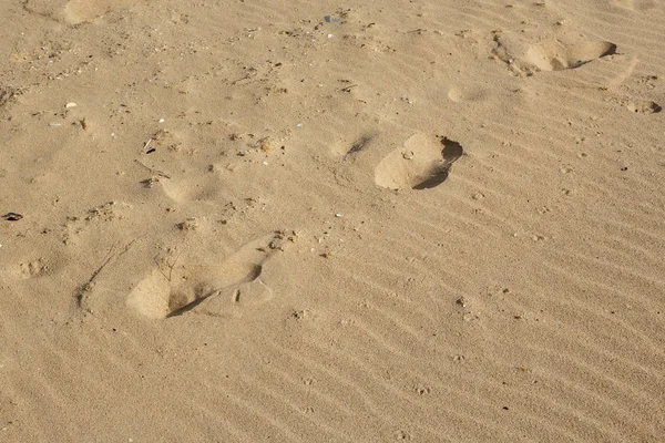 Fondo de arena con patrones ondulados, huellas y conchas marinas —  Fotos de Stock
