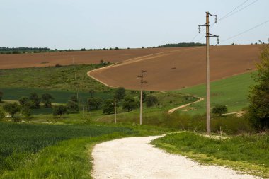 Mera ve kırpma alanları arasında kırsal yol virajlı geçti tarafından enerji nakil direkleri