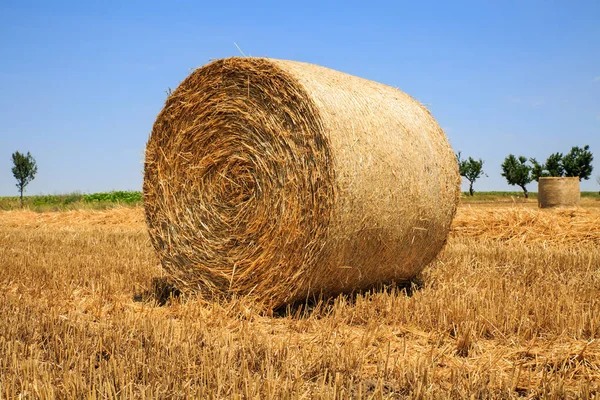 Close up of a round, golden hay bale on a reaped wheat field against blue sky — Stock Photo, Image
