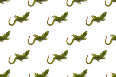 Beyaz desenli Yeşil Madagaskar günü kertenkelesi beyaz arkaplanda izole edildi