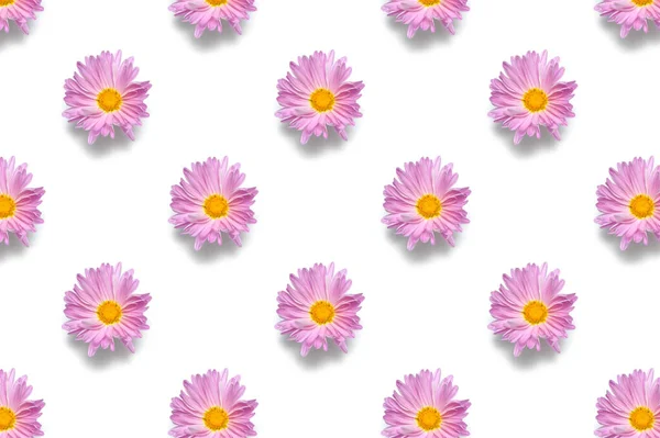 Makro Mönster Blomma Knopp Isolerad Vit Bakgrund — Stockfoto