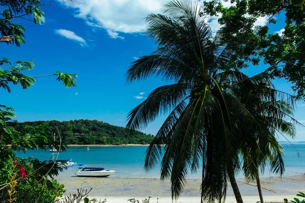 The boats on palm beach. The parked boats on the beach — Stock Photo, Image