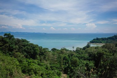 Orman ve mavi okyanus görüntüleyin. Açık havada çekim yatay 