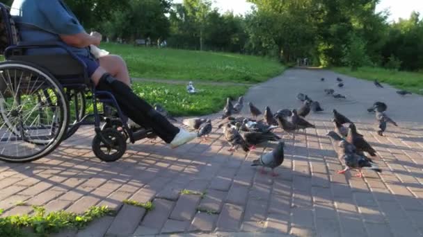 Una persona discapacitada alimentando pájaros . — Vídeos de Stock