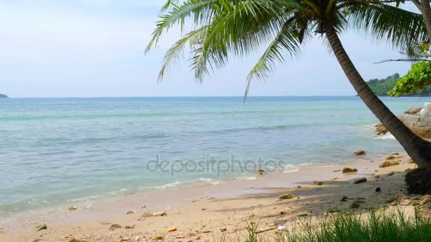 Vista a la soleada playa de arena — Vídeo de stock