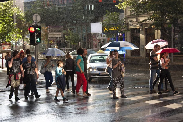 Gente cruzando la calle en el cruce de Cebra — Foto de Stock